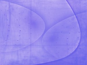 随机森林体系搭建的五个阶段